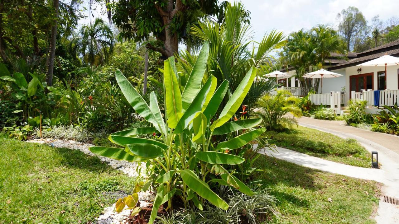 فندق Treeya Lanta Ko Lanta المظهر الخارجي الصورة